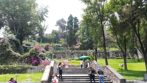 Basilica of Our Lady of Guadalupe