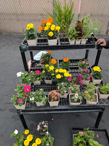 Drive-in Movie Theater «Rubidoux Drive-In Theatre and Swap Meet», reviews and photos, 3770 Opal St, Riverside, CA 92509, USA