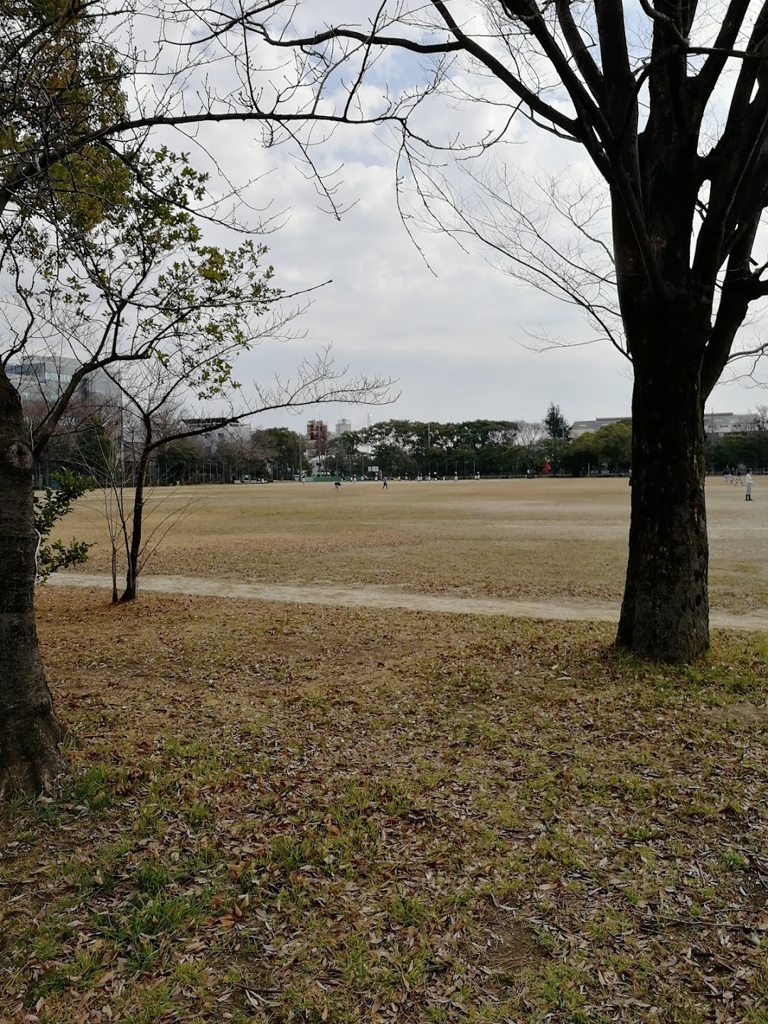 稲永公園 野球場面