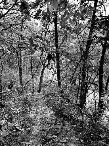 Nature Preserve «Kokiwanee Nature Preserve», reviews and photos, 5825 E 50 S, Lagro, IN 46941, USA