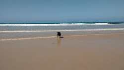 Photo de Mullaway Beach entouré de montagnes