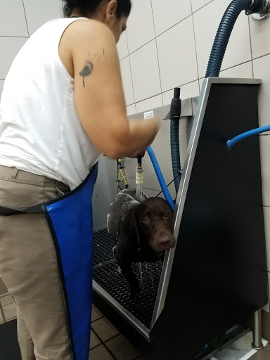 Pet Supply Store «Pet Supplies Plus», reviews and photos, 135-25 79th St, Howard Beach, NY 11414, USA