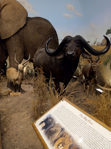 Shopping Mall «Westgate Entertainment District», reviews and photos, 6751 N Sunset Blvd, Glendale, AZ 85305, USA