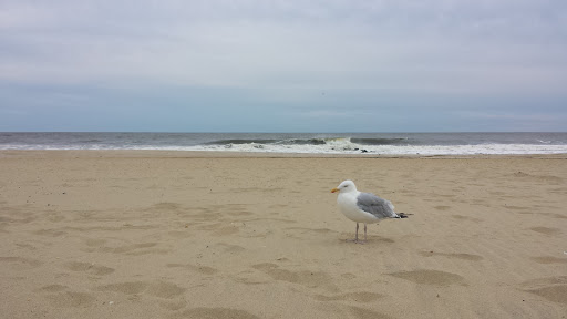 Breakfast Restaurant «Sandy Seagull Corner Store», reviews and photos, 101 1st Ave, Manasquan, NJ 08736, USA