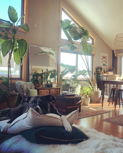 Window Installation Service «Southard Renewal by Andersen of Kansas», reviews and photos