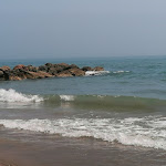 Photo n° 5 de l'avis de Dominique.e fait le 08/08/2023 à 22:42 pour Plage des Aresquiers à Frontignan