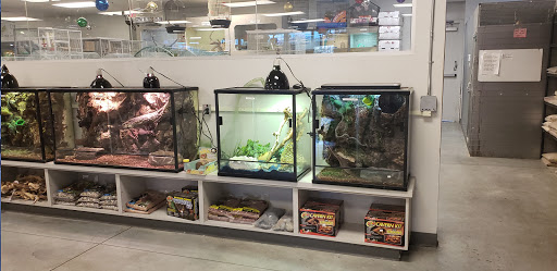 Pet Store «Exotic Pets», reviews and photos, 2410 N Decatur Blvd #160, Las Vegas, NV 89108, USA
