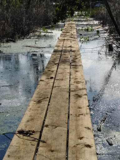 Golf Course «Deer Island Country Club», reviews and photos, 18000 Eagles Club House Way, Tavares, FL 32778, USA