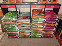 Backyard Oasis - Photo 8 - Car repair in Round Rock, TX, Round Rock