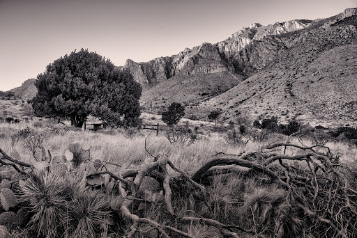 National Park «Guadalupe Mountains National Park», reviews and photos