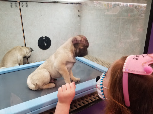 Pet Store «Pet City Pet Shops», reviews and photos, 750 Citadel Dr N # 2092, Colorado Springs, CO 80909, USA