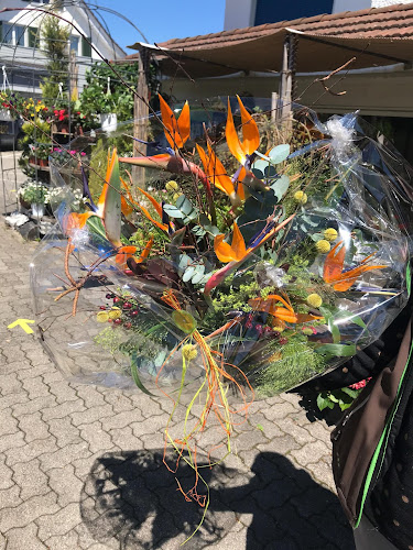 Rezensionen über Blumenladen Schär in Pratteln - Blumengeschäft