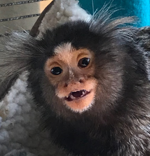 Animal Feed Store «Russell Feed & Supply Decatur», reviews and photos, 1817 US-287, Decatur, TX 76234, USA