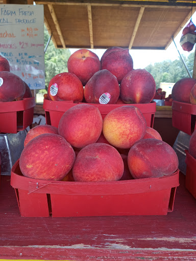 Self-Storage Facility «Monster Self Storage», reviews and photos, 1689 Brickyard Rd, Hardeeville, SC 29927, USA