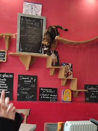 Café Le Chat Puccino à Rennes - menu / carte