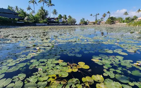 Lotus Lagoon image