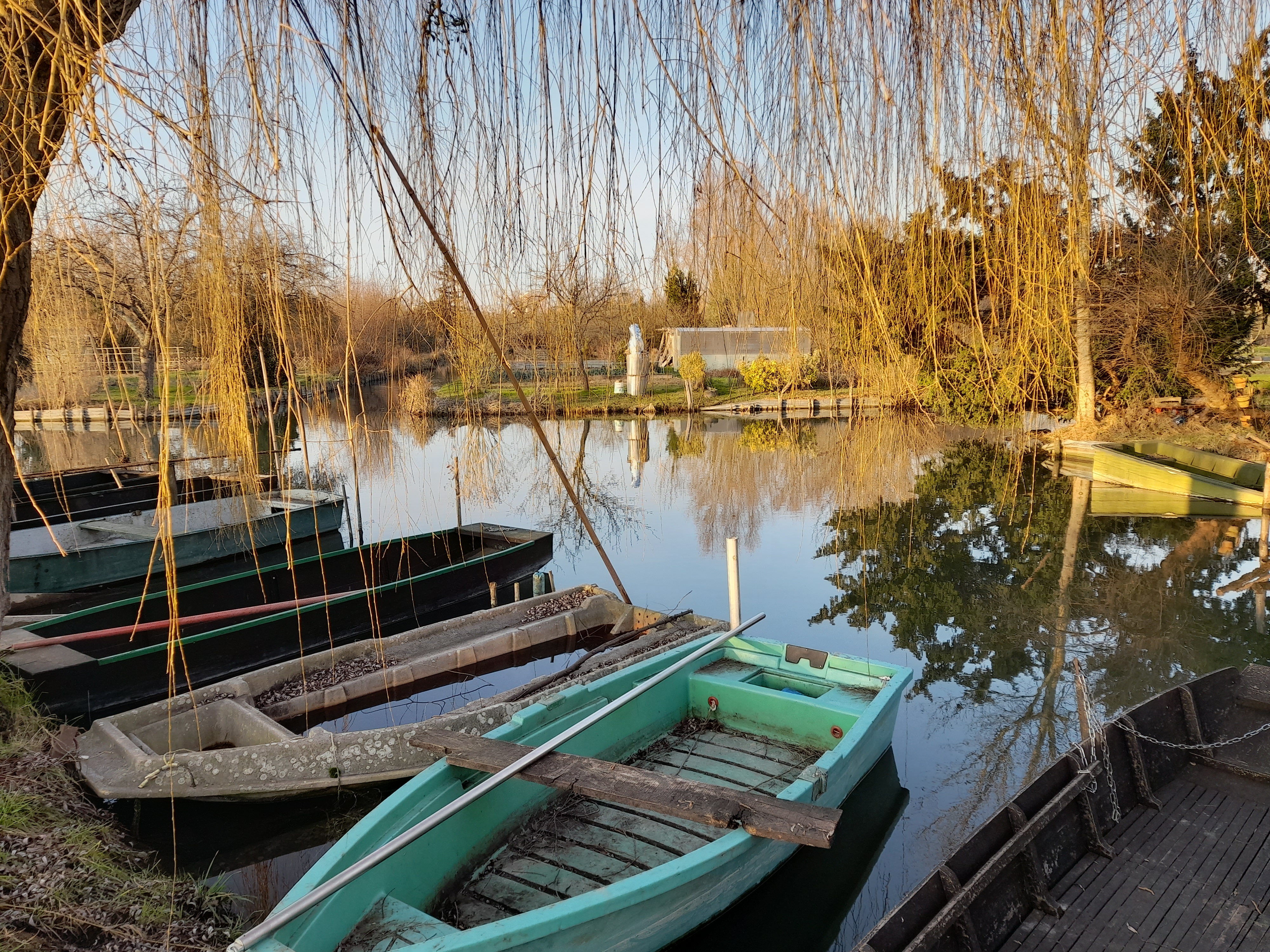 Photo n° 50 de l'avis de gilles.a fait le 11/02/2023 à 23:07