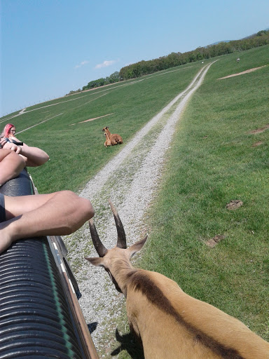 Park «Lake Tobias Wildlife Park», reviews and photos, 760 Tobias Road, Halifax, PA 17032, USA
