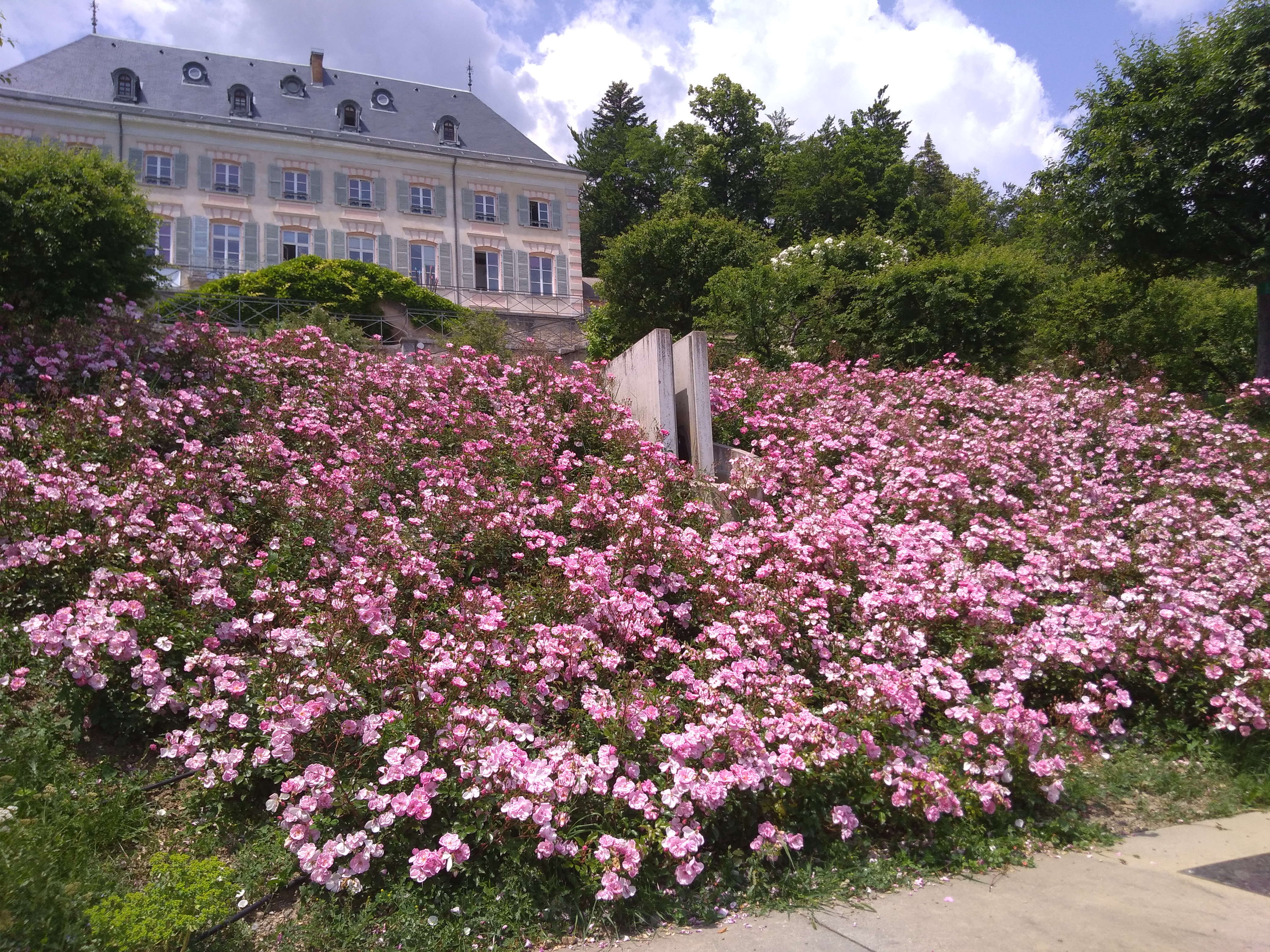 Photo n° 1 de l'avis de doriane.e fait le 22/06/2018 à 06:46