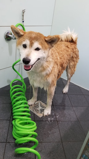 Pet Supply Store «Village Pets & Supplies», reviews and photos, 1036 Hyde St, San Francisco, CA 94109, USA