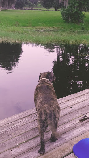 Nature Preserve «Conner Preserve», reviews and photos, 22500 FL-52, Land O Lakes, FL 34637, USA