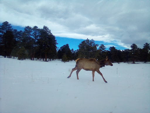 Fishing Store «Blue Quill Angler», reviews and photos, 1532 Bergen Pkwy, Evergreen, CO 80439, USA