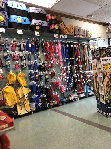 Pet Supply Store «Petland Discounts - Austin Street», reviews and photos, 70-44 Austin St, Queens, NY 11375, USA