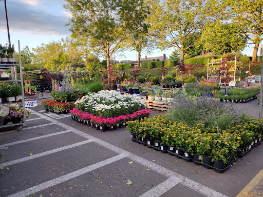 Home Improvement Store «The Home Depot», reviews and photos, 4401 SW 110th Ave, Beaverton, OR 97005, USA