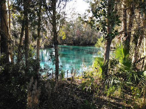 Thrift Store «Crystal River Super Thrift Store», reviews and photos, 820 S Suncoast Blvd, Homosassa, FL 34448, USA