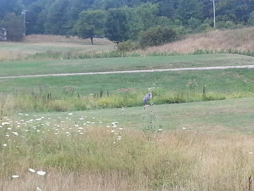 Golf Course «Airport Greens Golf Course», reviews and photos, 28980 White Rd, Willoughby Hills, OH 44092, USA