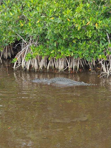 Boat Tour Agency «Everglades Excursions», reviews and photos, 1010 6th Ave S #1, Naples, FL 34102, USA