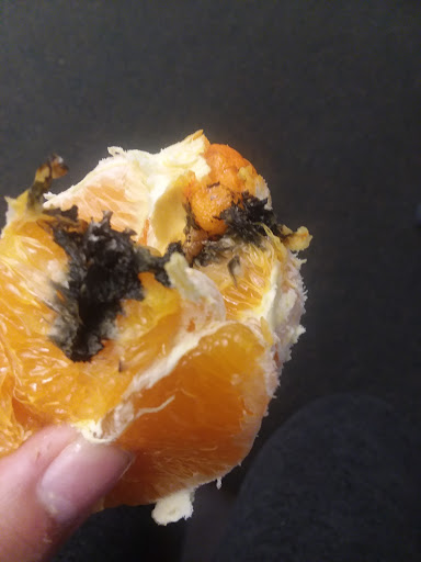 Health Food Store «Sprouts Farmers Market», reviews and photos, 4759 W 29th St b, Greeley, CO 80634, USA