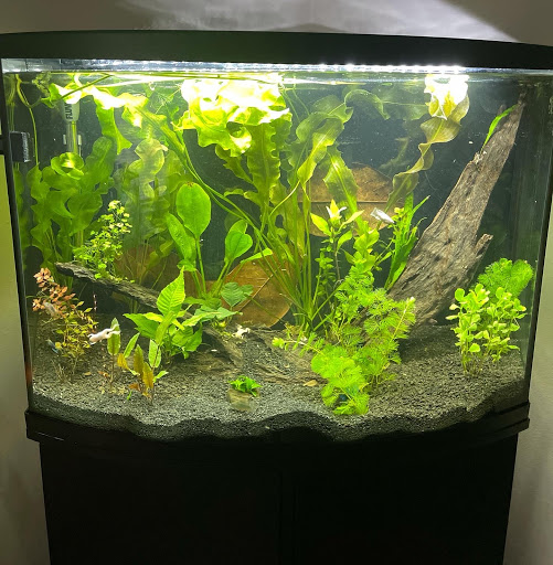 Pet Supply Store «IncrediPet», reviews and photos, 306 Southland Dr, Lexington, KY 40503, USA