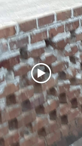 Florist «Encore Florals & Gifts», reviews and photos, 225 Kingston St, Conway, SC 29526, USA