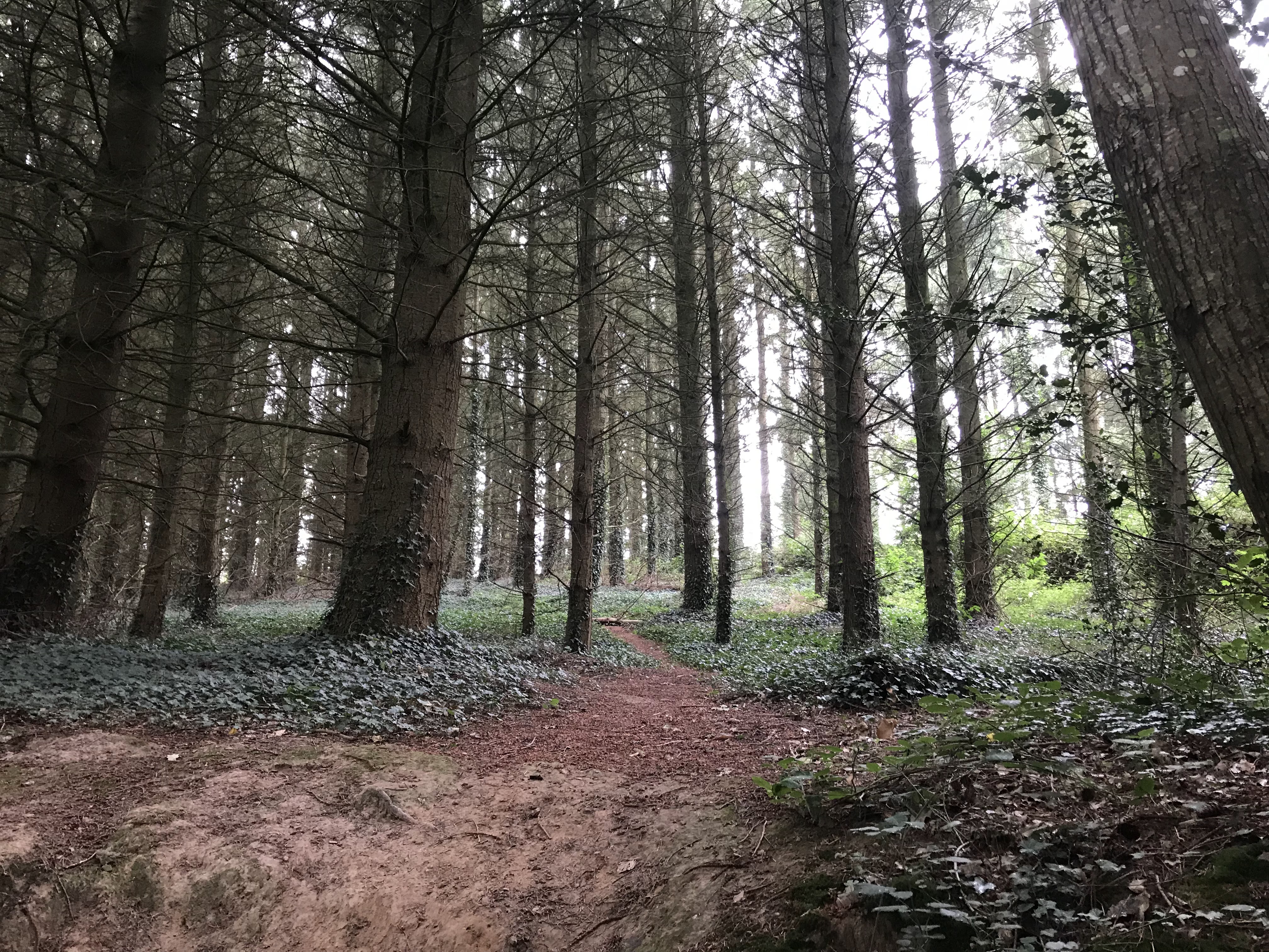 Photo n° 1 de l'avis de Melissa.� fait le 30/11/2018 à 16:48