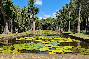 Sir Seewoosagur Ramgoolam Botanical Garden image