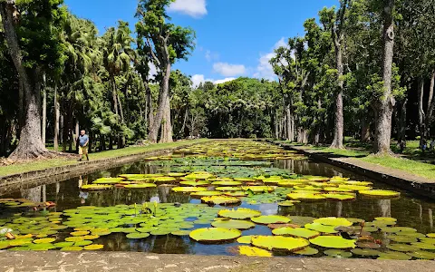 Sir Seewoosagur Ramgoolam Botanical Garden image