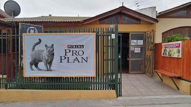 Opiniones de Clínica Veterinaria Pata's en Coquimbo - Veterinario