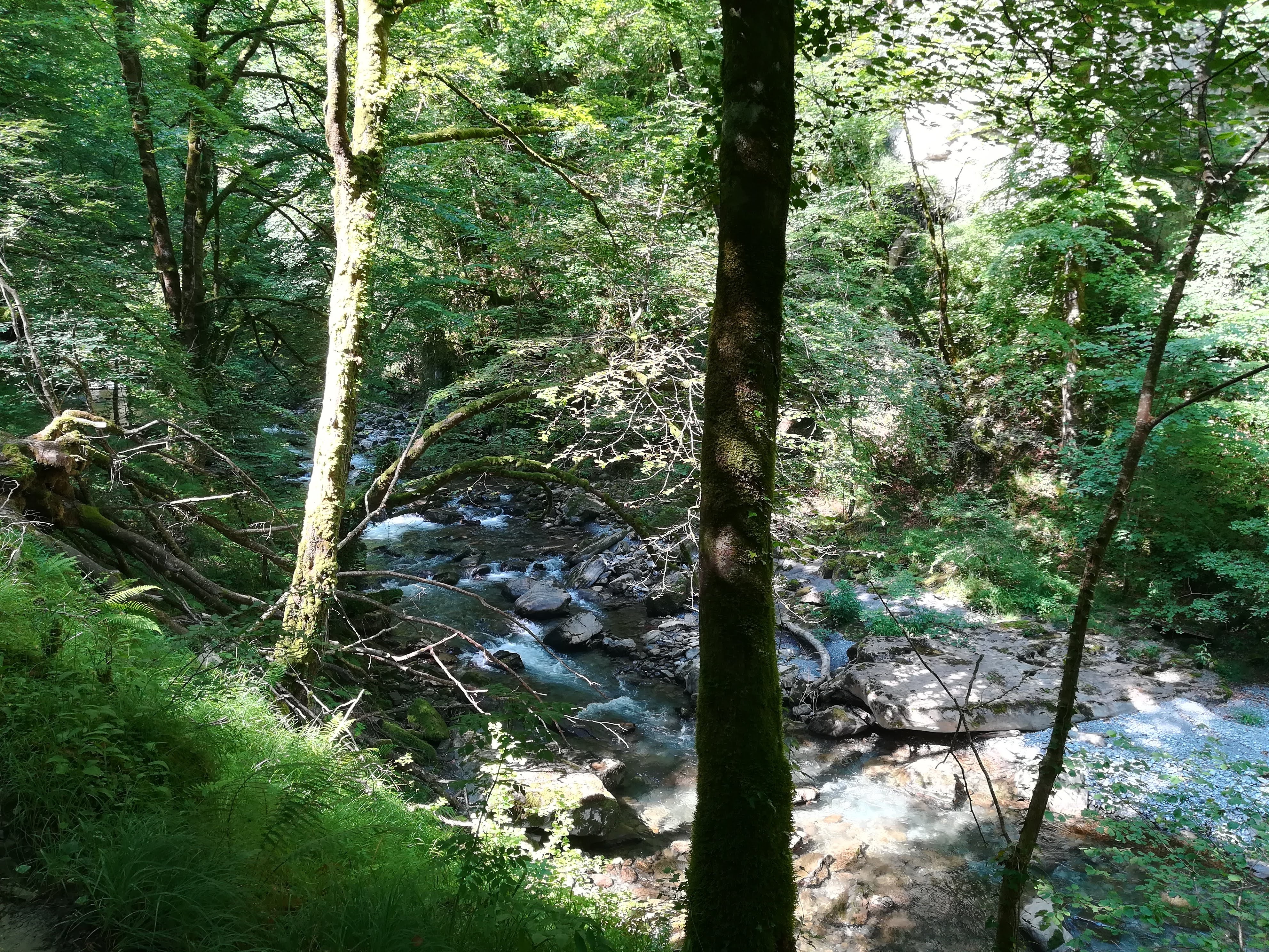 Photo n° 6 de l'avis de Caroline. fait le 19/08/2018 à 07:41
