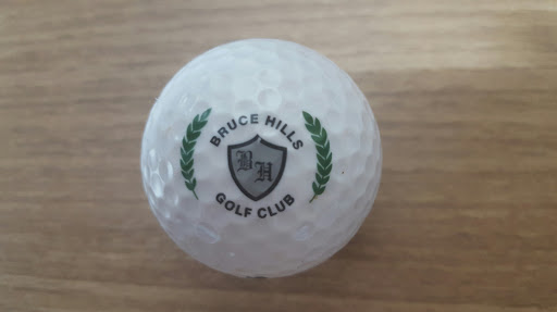 Golf Club «Bruce Hills Golf Club», reviews and photos, 6771 Taft Rd, Bruce Township, MI 48065, USA