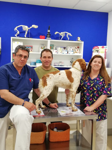 Hospitales y veterinarios de urgencia en La Carlota de 2024