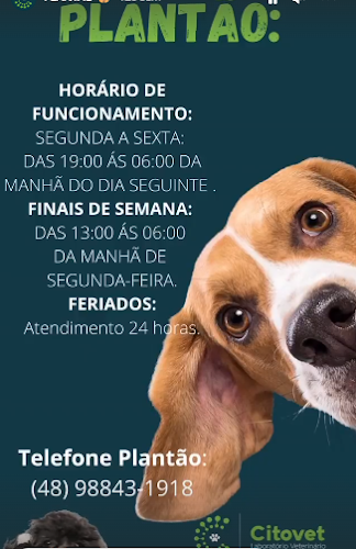 Citovet Laboratório Veterinário - Veterinário