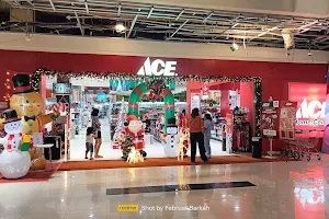 Ace Hardware Solo Paragon image