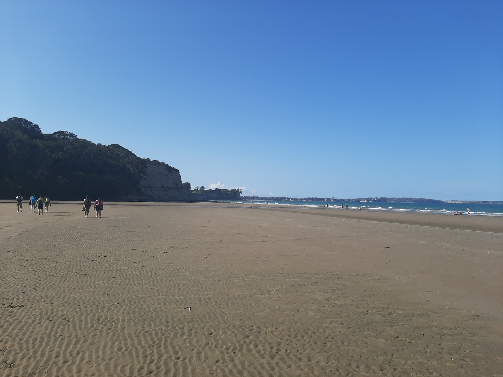Pohutukawa Bay Beach的照片 带有碧绿色水表面