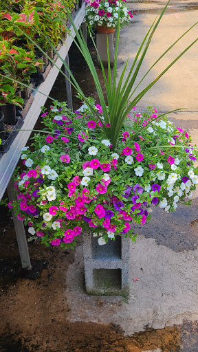 Produce Market «Miller Farms», reviews and photos, 10140 Piscataway Rd, Clinton, MD 20735, USA