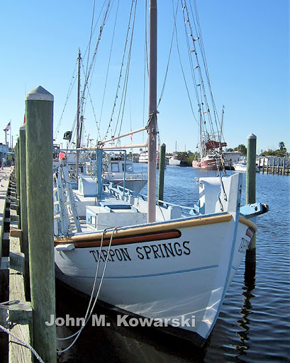 Park «Tarpon Springs Splash Park», reviews and photos, 508 Live Oak St, Tarpon Springs, FL 34689, USA