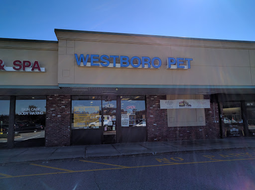 Westboro Pet Shop Inc, 18 Lyman St # 900, Westborough, MA 01581, USA, 