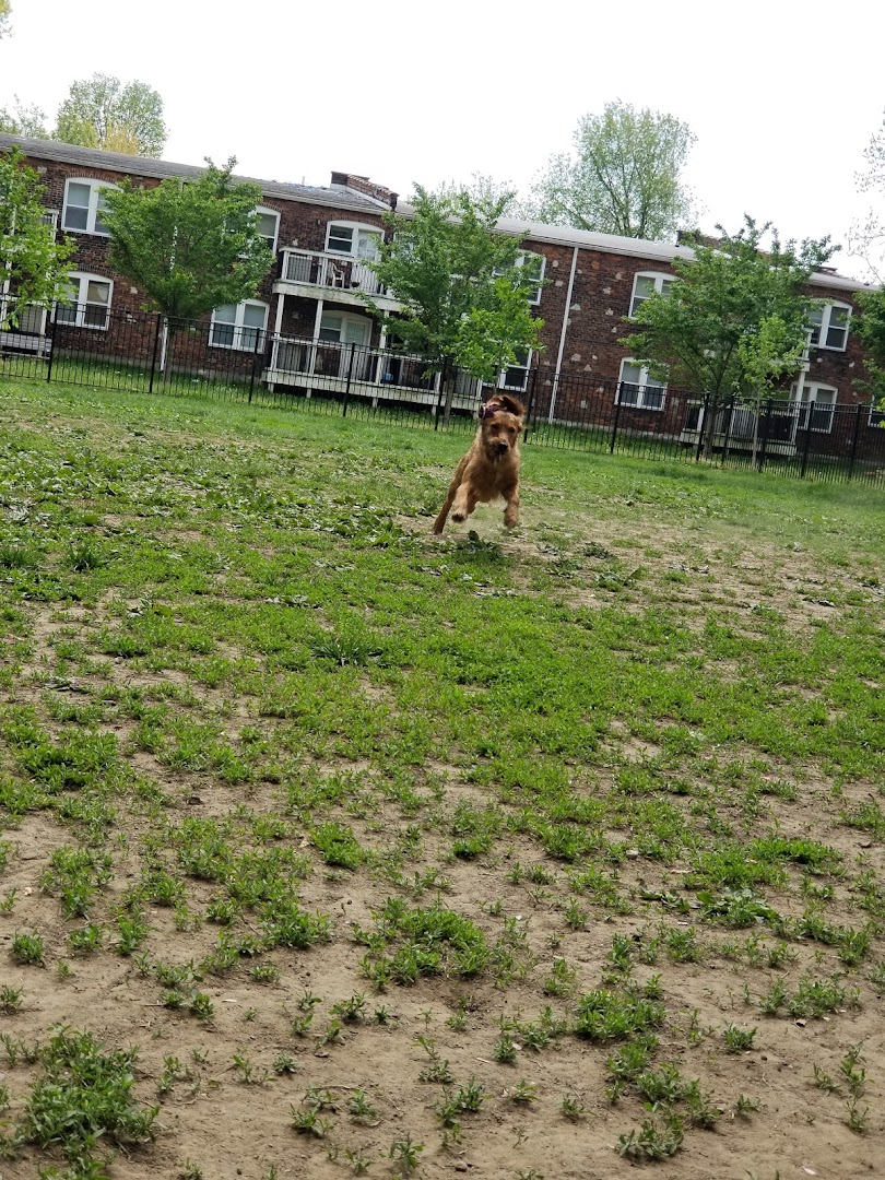 Old Louisville Dog Run (Members Only)