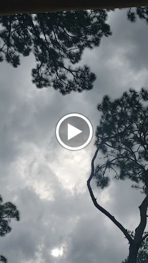 Park «Phelps Park», reviews and photos, Phelps Ave, Winter Park, FL 32789, USA