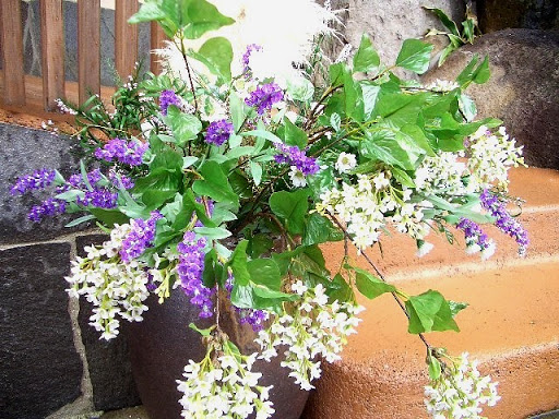 Florist «Lexis Florist», reviews and photos, 6102 Skyline Dr a, Houston, TX 77057, USA